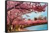 Tidal Basin, Jefferson Memorial, Cherry Blossoms, Washington, D.C.-null-Framed Stretched Canvas