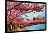 Tidal Basin, Jefferson Memorial, Cherry Blossoms, Washington, D.C.-null-Framed Art Print