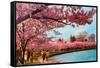 Tidal Basin, Jefferson Memorial, Cherry Blossoms, Washington, D.C.-null-Framed Stretched Canvas