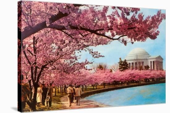 Tidal Basin, Jefferson Memorial, Cherry Blossoms, Washington, D.C.-null-Stretched Canvas