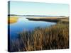 Tidal Creek Empties into Biddeford Pool, Anuszewski Property, Maine, USA-Jerry & Marcy Monkman-Stretched Canvas