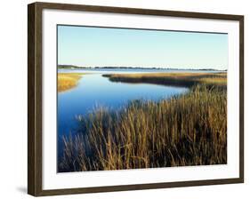 Tidal Creek Empties into Biddeford Pool, Anuszewski Property, Maine, USA-Jerry & Marcy Monkman-Framed Photographic Print