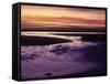 Tidal Flat at Sunset, Cape Cod, MA-Gary D^ Ercole-Framed Stretched Canvas