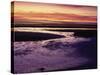 Tidal Flat at Sunset, Cape Cod, MA-Gary D^ Ercole-Stretched Canvas