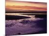 Tidal Flat at Sunset, Cape Cod, MA-Gary D^ Ercole-Mounted Photographic Print