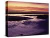 Tidal Flat at Sunset, Cape Cod, MA-Gary D^ Ercole-Stretched Canvas