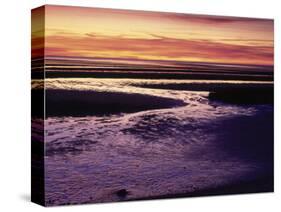 Tidal Flat at Sunset, Cape Cod, MA-Gary D^ Ercole-Stretched Canvas