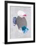 Tidal Impressions No. 2-Louis Duncan-He-Framed Art Print