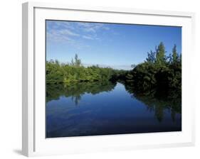 Tidal Lagoons Fringed with Mangroves, Lovers Key SRA, Ft. Meyer's Beach, Florida-Maresa Pryor-Framed Photographic Print