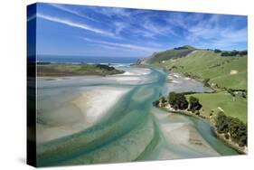 Tidal patterns, Hoopers Inlet, Otago Peninsula, Dunedin, South Island, New Zealand-David Wall-Stretched Canvas