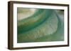 Tidal patterns, Hoopers Inlet, Otago Peninsula, Dunedin, South Island, New Zealand-David Wall-Framed Photographic Print