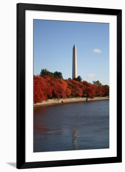 Tidal Pool in Autumn-fintastique-Framed Photographic Print