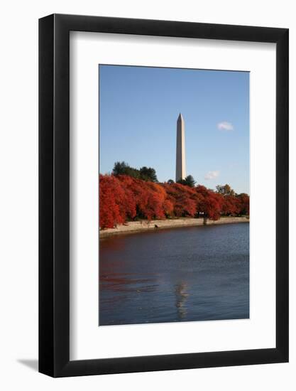 Tidal Pool in Autumn-fintastique-Framed Photographic Print