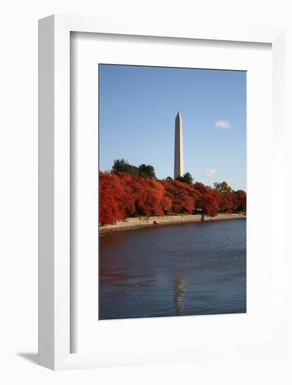Tidal Pool in Autumn-fintastique-Framed Photographic Print