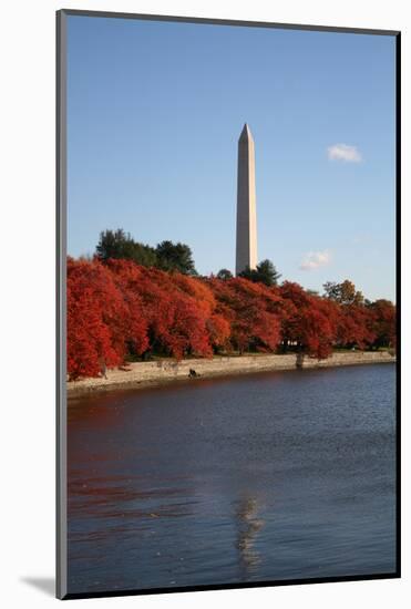 Tidal Pool in Autumn-fintastique-Mounted Photographic Print