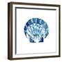 Tidal Pool Shell-Crystal Smith-Framed Art Print