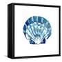 Tidal Pool Shell-Crystal Smith-Framed Stretched Canvas