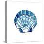 Tidal Pool Shell-Crystal Smith-Stretched Canvas