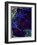 Tidal Pool-MusicDreamerArt-Framed Giclee Print