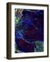 Tidal Pool-MusicDreamerArt-Framed Giclee Print