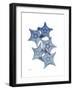 Tidal Starfish 1-Albert Koetsier-Framed Photographic Print