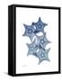Tidal Starfish 1-Albert Koetsier-Framed Stretched Canvas
