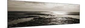 Tidal Streams-Noah Bay-Mounted Premium Giclee Print