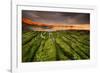 Tide going out, Peninsula Valdes, Argentina-Gabriel Rojo-Framed Photographic Print