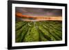 Tide going out, Peninsula Valdes, Argentina-Gabriel Rojo-Framed Photographic Print