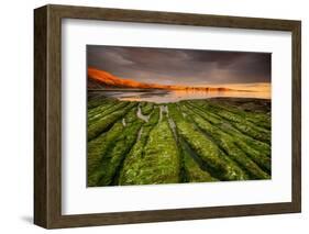 Tide going out, Peninsula Valdes, Argentina-Gabriel Rojo-Framed Photographic Print