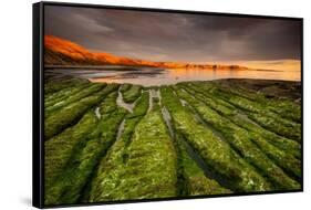 Tide going out, Peninsula Valdes, Argentina-Gabriel Rojo-Framed Stretched Canvas