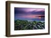 Tide going out, Peninsula Valdes, Argentina-Gabriel Rojo-Framed Photographic Print