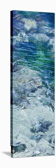 Tide Pool IV-Rita Crane-Stretched Canvas