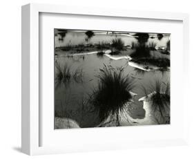 Tide Pool, Oregon, 1970-Brett Weston-Framed Photographic Print