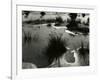 Tide Pool, Oregon, 1970-Brett Weston-Framed Photographic Print