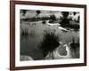 Tide Pool, Oregon, 1970-Brett Weston-Framed Photographic Print