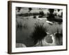 Tide Pool, Oregon, 1970-Brett Weston-Framed Photographic Print