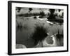 Tide Pool, Oregon, 1970-Brett Weston-Framed Photographic Print