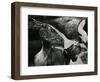 Tide Pool, Oregon, 1974-Brett Weston-Framed Photographic Print