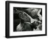 Tide Pool, Oregon, 1974-Brett Weston-Framed Photographic Print