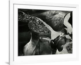 Tide Pool, Oregon, 1974-Brett Weston-Framed Photographic Print