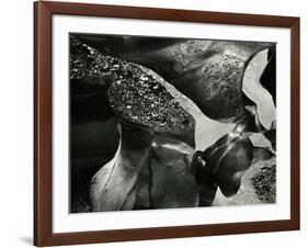 Tide Pool, Oregon, 1974-Brett Weston-Framed Photographic Print