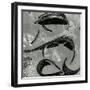 Tide Pool, Point Lobos, 1974-Brett Weston-Framed Photographic Print