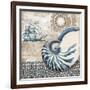 Tide Pool Shells I-Paul Brent-Framed Art Print