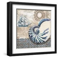 Tide Pool Shells I-Paul Brent-Framed Art Print