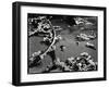 Tide Pool with Kelp (b/w photo)-Brett Weston-Framed Photographic Print