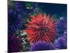 Tide Pool With Sea Urchins, Olympic Peninsula, Washington, USA-Charles Sleicher-Mounted Photographic Print