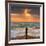 Tide Watcher-Adrian Campfield-Framed Photographic Print