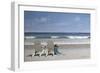 Tide Watching-Zhen-Huan Lu-Framed Giclee Print