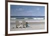 Tide Watching-Zhen-Huan Lu-Framed Giclee Print